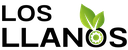 My Website